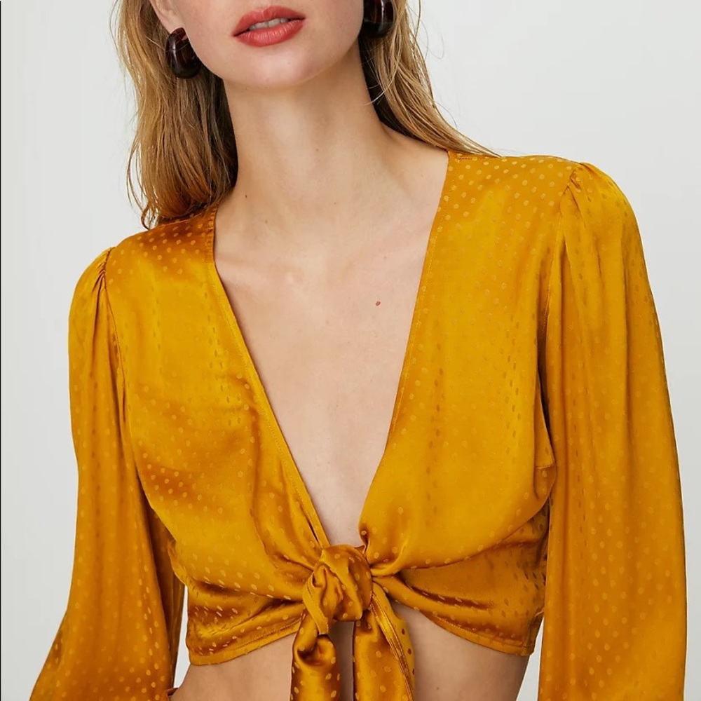 Aritzia Wilfred Vivi Cropped Tie Front Blouse size xs